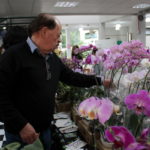 Confira as fotos da Primavera e Paz - 22ª Mostra de Orquídeas da Unesc