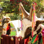 Cultura do Boi de Mamão ganha destaque na Unesc